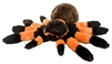 Tarantula Cuddlekins