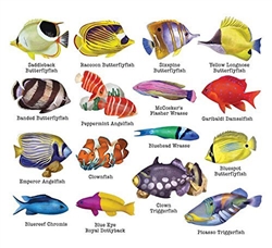 Reef Fish II -  16  Mini Shaped Puzzles  500 Piece Total by Lafayette Puzzle Company