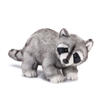 Raccoon Plush Toy from the Nat & Jules Collection