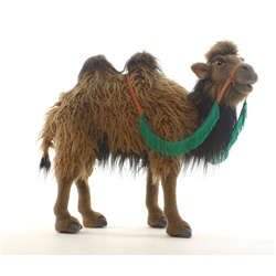 Hansa Bactrian Camel