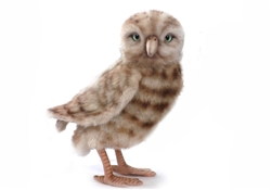 Burrowing Owl by Hansa 10"H