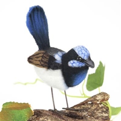 Hansa Blue Wren  Bird (Aussie)