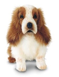 Hansa Cocker Spaniel