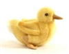 Duck Chick with Feet