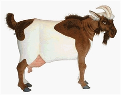 Goat Life Size by Hansa Toys 42" L