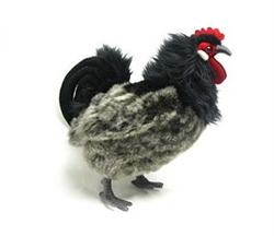 Black and Grey Hen