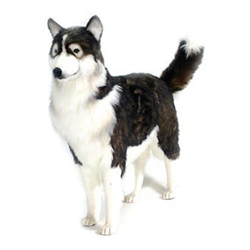 Hansa Husky Dog Standing 34" High