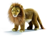 Hansa Male Lion Standing