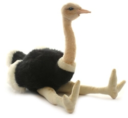 Hansa Ostrich