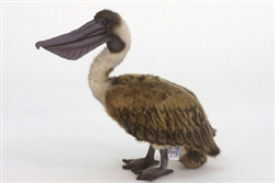Pelican by Hansa 15" L