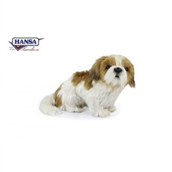 Shih Tzu Brown and White 10" H