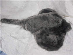 Stingray Plush Toy