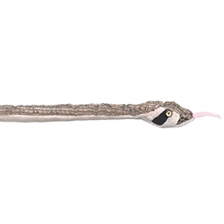 Rattlesnake 55" L
