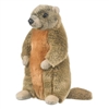 Yellow Bellied Marmot (Groundhog) 11" H