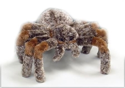 Tarantula 10.5" L