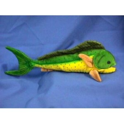 Mahi Mahi Fish