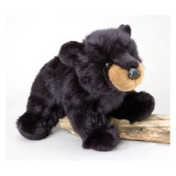 Boulder Black Bear