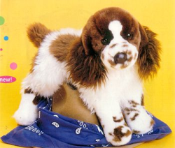 Oglivy Springer Spaniel Dog