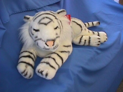 White Tiger Lying