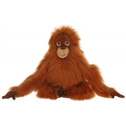 Hansa Baby Orangutan