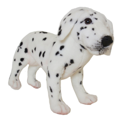 Hansa Dalmation Standing