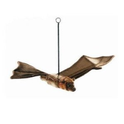 Hansa Flying Fox Bat