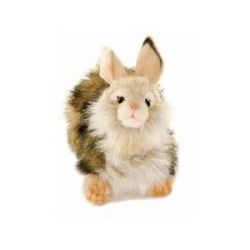 Hansa Fawn Rabbit