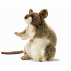 Hansa Gelbhals Mouse