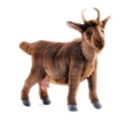 Hansa Brown Mountain Goat