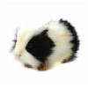 Hansa Black and White Guinea Pig