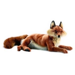 Hansa Red Fox Lying