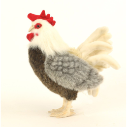 Hansa Bantam Rooster