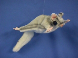 Hansa Sugar Glider