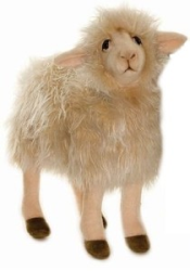 Hansa White Sheep