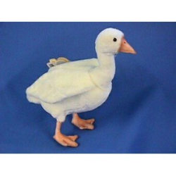 Hansa Young Goose/Duck