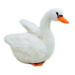 Elegant White Swan