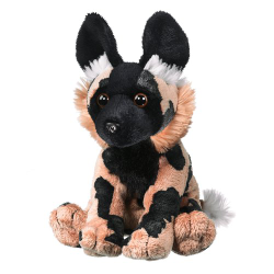 African Wild Dog