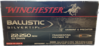 WINCHESTER BALISTIC SILVERTIP 22-250 REM 55 GR 20 ROUNDS