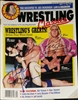 RIC FLAIR 7 HULK HOGAN signed magazine