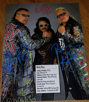 THE NASTY BOYS & JIMMY HART signed poster!!
