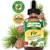 Fir Essential Oil Organic myVidaPure