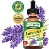 Lavender Essential Oil Organic myVidaPure