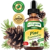 Pine Essential Oil Organic myVidaPure