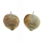 SG1064 Branch of Life Sterling Silver Seashell Earrings