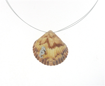 SG1103 Sterling Silver Seashell Necklace