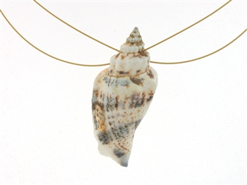 SG1105 Sterling Silver Seashell Pendant