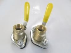flanged 1" ball valve set