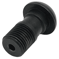 Banjo Bolt M10x1 - BMW F Bike, G Bike, Hexhead, K Bike, Oilhead;  34 32 2 331 540 / EnDuraLast