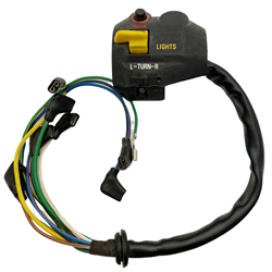 61 31 1 243 804,61311243804,R60 left combination switch,R75 left combination switch,R80 left combination switch,R100 left combination switch