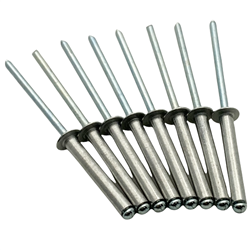 46 54 2 316 700, 46542316700, R1100 case hinge rivet,R1150 case hinge rivet,R850 case hinge rivet, case hinge rivet bmw oilhead, bmw motorcycle case hinge hardware,